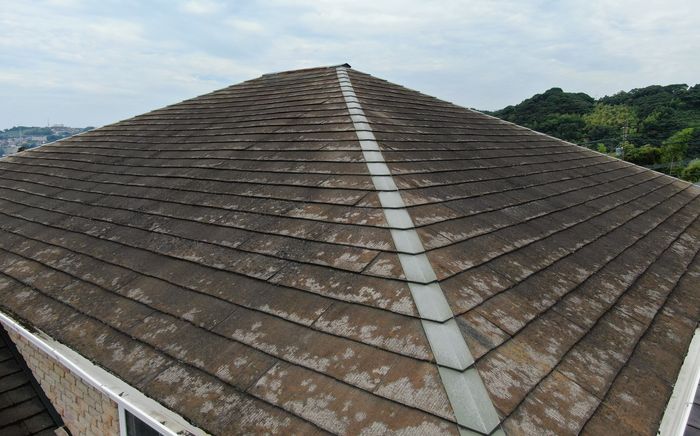 屋根の状態も気になる