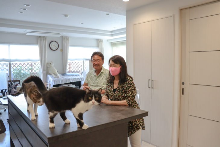 【京都市中京区】猫と暮らすホテルライクなマンションリノベーション